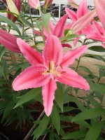 [5355 Vancouver DJ No01.JPG]